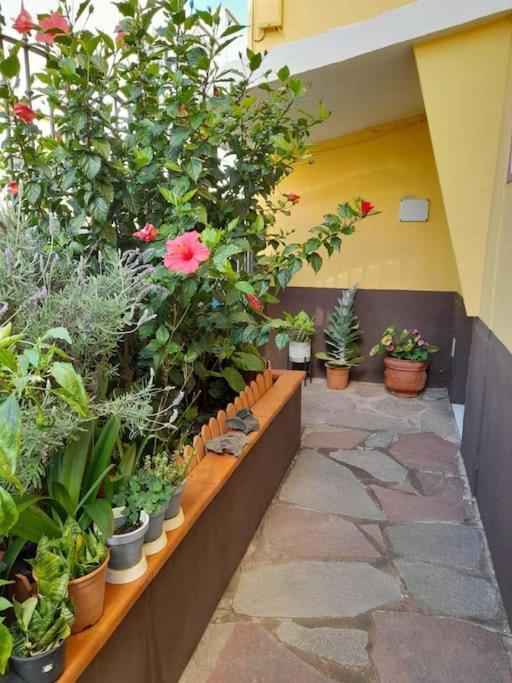 El Rincon De Nina Villa La Laguna  Ngoại thất bức ảnh